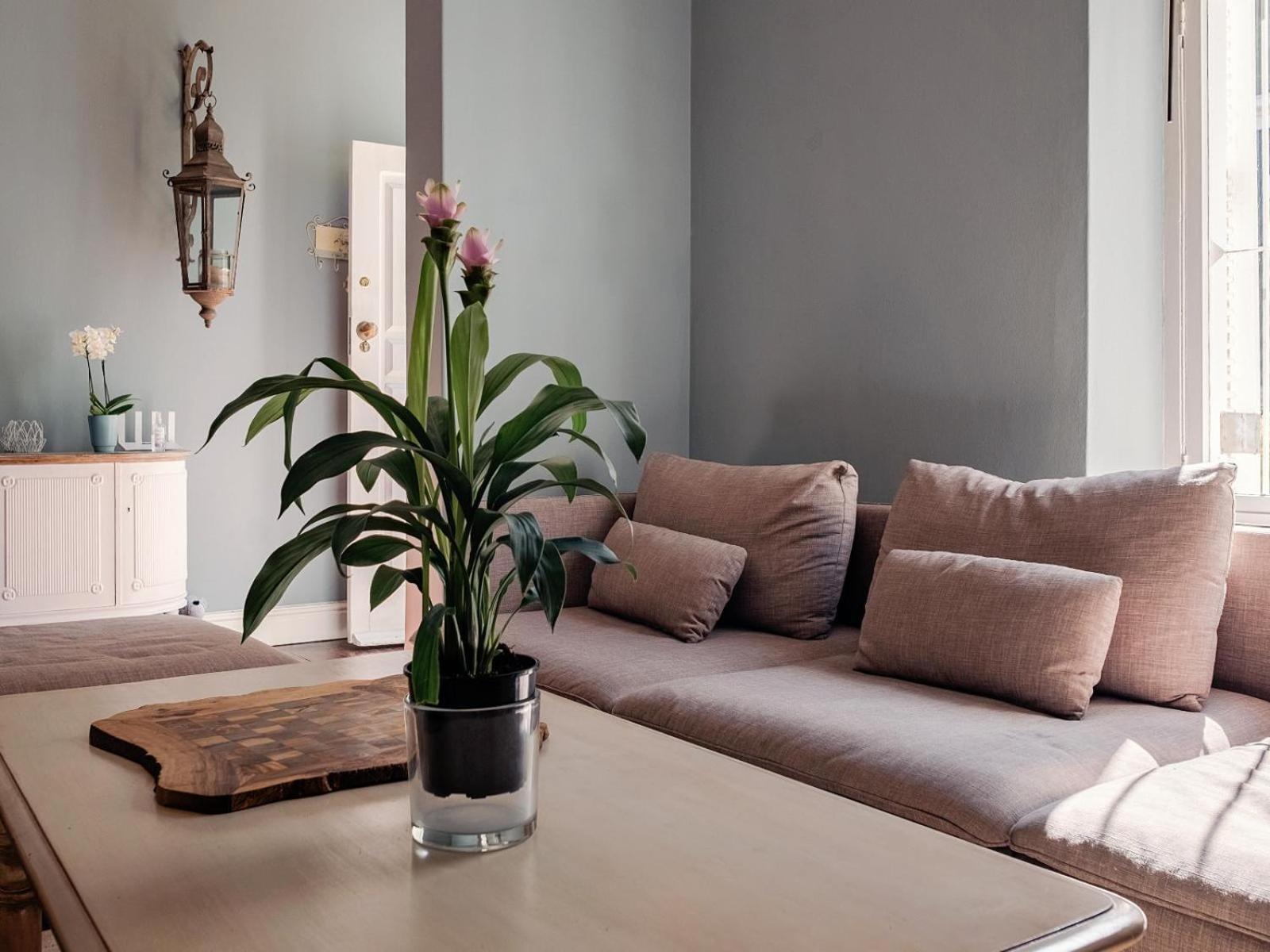 Purple House Accommodations เคปทาวน์ ห้อง รูปภาพ