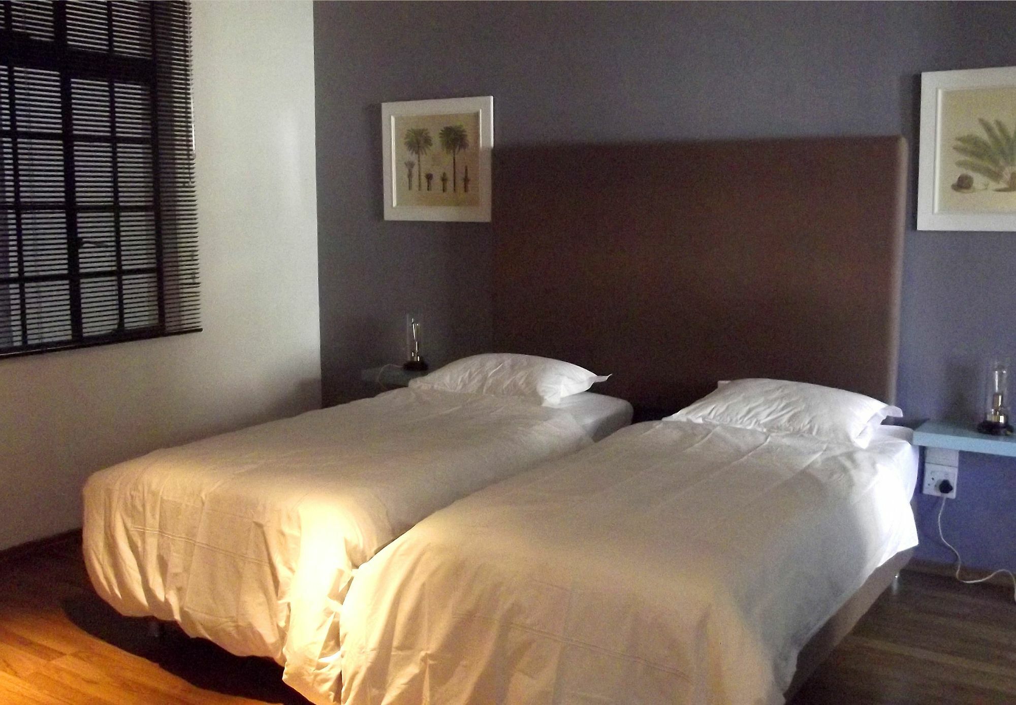 Purple House Accommodations เคปทาวน์ ภายนอก รูปภาพ